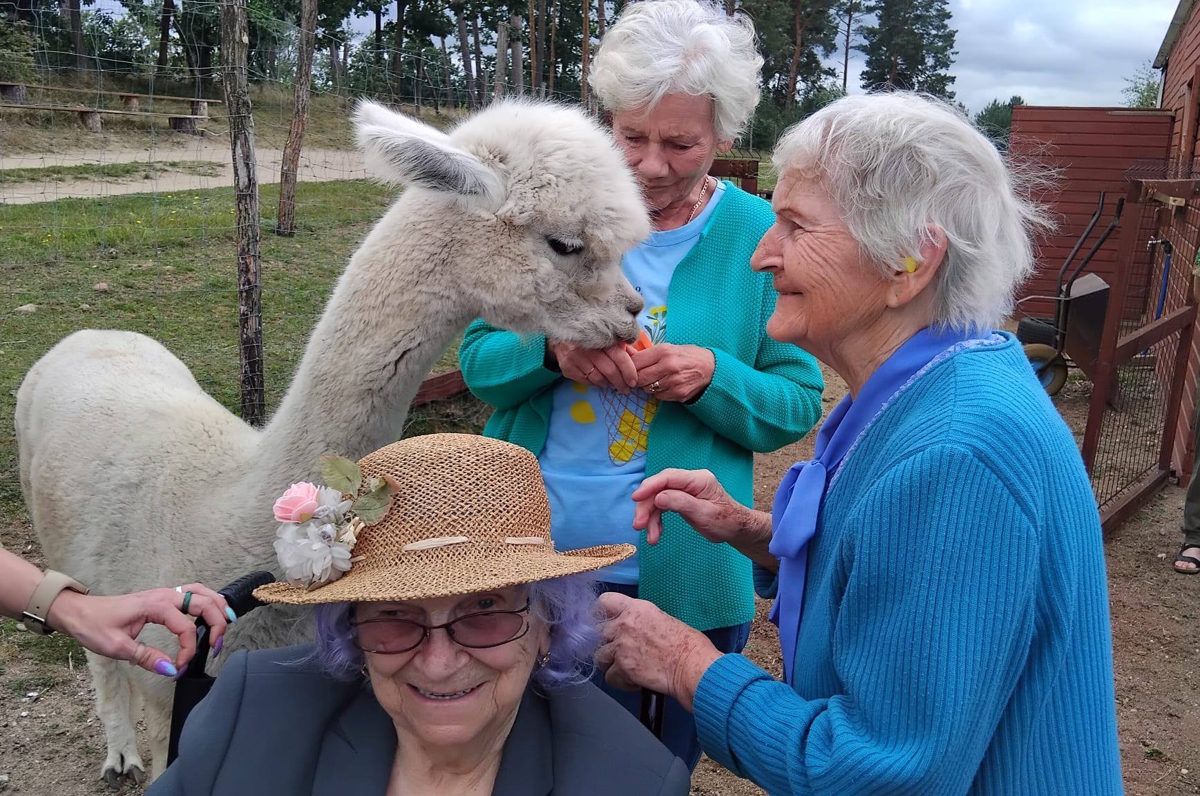Szeroki wachlarz zajęć
